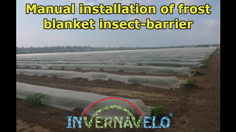 Manual installation of frostblanket insec-barrier INVERNAVELO®
