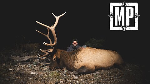 Luck of the Draw - Nevada Elk Hunt | Mark V. Peterson Hunting