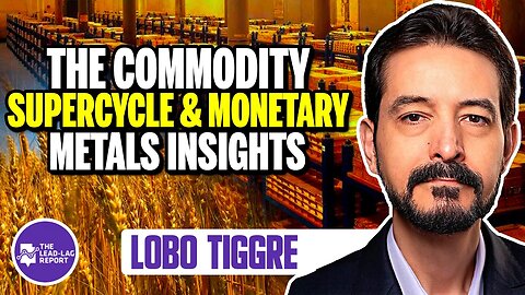 Monetary Metals Mastery: Lobo Tiggre's Expert Advice in Conversation with Michael Gayed
