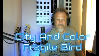 City And Color - Fragile Bird - Song Review