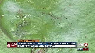 Lee County officials are working to clear the water of toxic algae