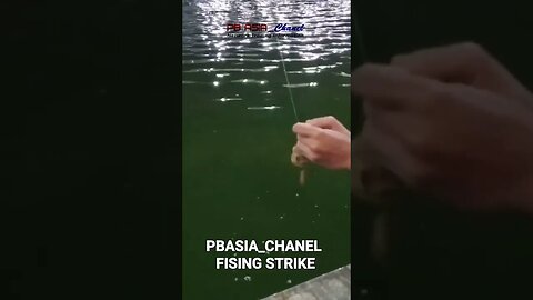 FISING #strike #ikan Segar #pbasia_chanel