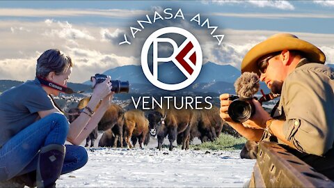 Yanasa Ama Ventures - Agricultural Film Producers