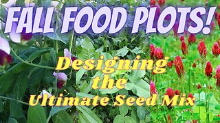Fall Food Plot Plants - What I am Planting This Fall and Why