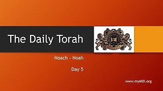 Noach / Noah - Day 5