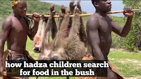 how hadza children search for food in the bush