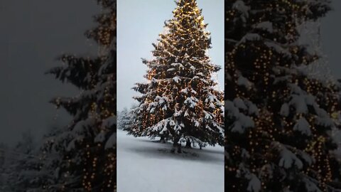 Tomerien tonttujen joulukalenteri 2022 luukku 3