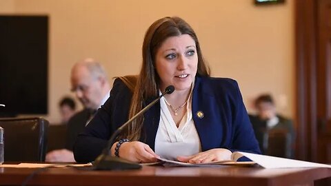 Illinois State Senator Rachel Ventura Talks Economy, Housing, Healthcare, and Bring People Together
