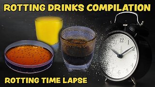 Rotting Drinks Time Lapse - Fanta, Cola, Coffee - Compilation