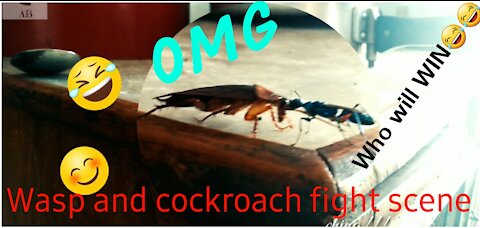 OMG...FIGHT !!!! COCKROACH AND WASP