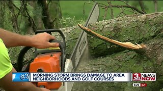 Overnight storm damages neighborhoods, city golf course