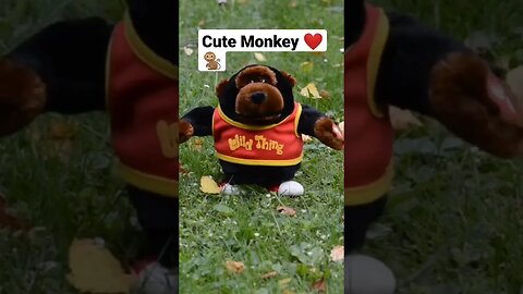 Little monkey cute video #fun #funny #funnyshorts #funnyvideo #shorts #monkey