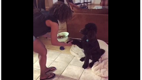 Thankful dog prays with owner before dinner