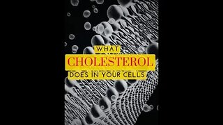 Cholesterol In The Cell