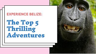 Experience The Top 5 Thrilling Adventures in Belize