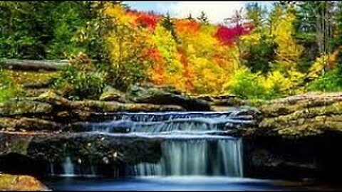 Soothing Relaxing Creeks Streams Rivers Nature Forest Sounds Birds Chirping Relieve Anxiety & Stress