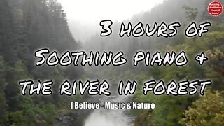 Soothing music with piano and forest river sound for 3 hours, music for relax and meditate