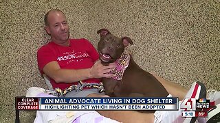 Local animal advocate moves into shelter dog's room
