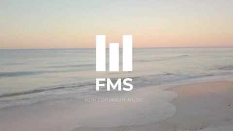 FMS - Free Non Copyright EDM Music #041
