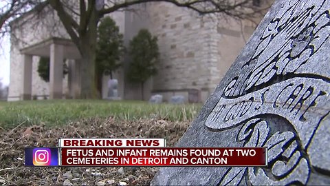 Dozens of fetuses, infant remains found after police raid on metro Detroit cemeteries