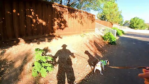 Reno NV Morning hike with Seamus 9 11 23 with pleasant music