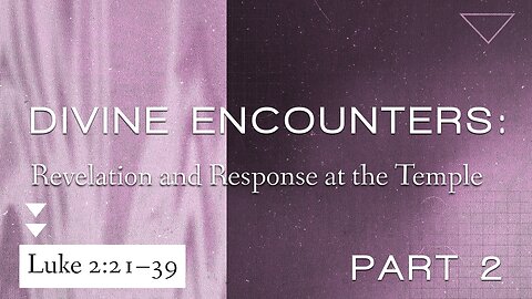 Feb. 4, 2024 - Sunday PM MESSAGE - Divine Encounters, Part 2 (Luke 2:21-39)