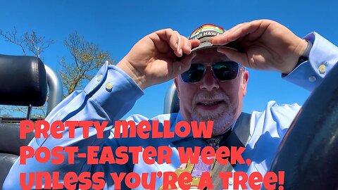 CINCINNATI DAD: The Week After Easter Is Pretty Mellow (unless you’re a tree).