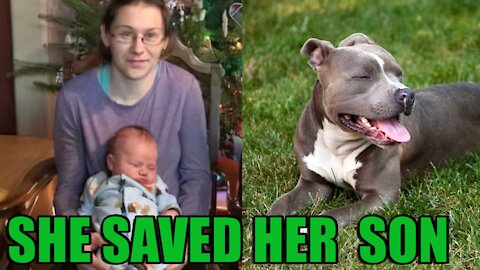 Woman Dies Heroically While Saving a Child From her Pit Bull Attack