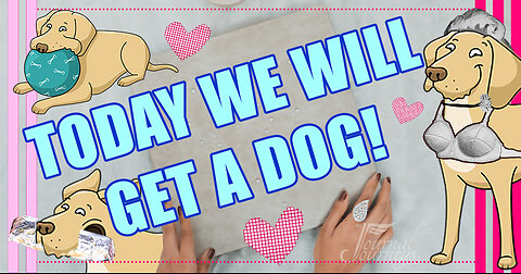Today...We will get a DOG! And other fine adventures