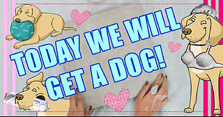 Today...We will get a DOG! And other fine adventures