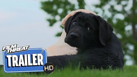 PUPPY LOVE | Official HD Trailer (2023) | DOCUMENTARY | Film Threat Trailers