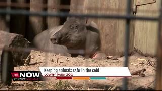 Keeping animals safe in the cold