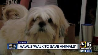 AAWL'S walk to save animals event in Tempe