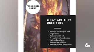 Prescribed burns: What they are and how they help land management in Idaho