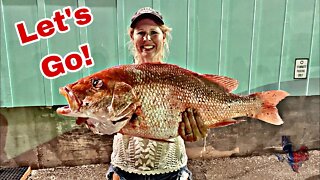Monster Red Snapper Fishing in the Gulf of Mexico