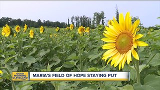 Maria's Field of Hope returning to Avon location this summer