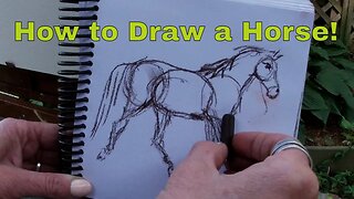 How to Draw a Horse!