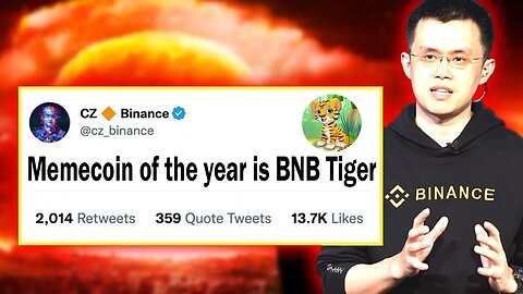 BNB TIGER HOLDERS!! THIS CHANGES EVERYTHING!! THIS VIDEO IS A MUST WATCH!!