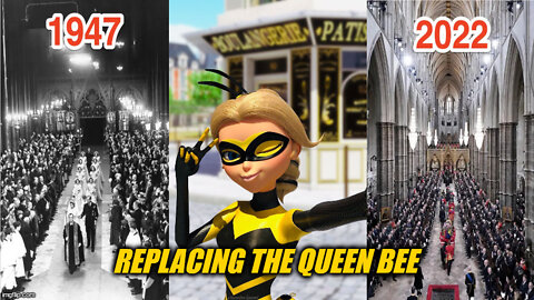 Replacing The Queen Bee - The More You Know!