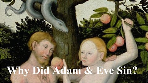 Why Did Adam And Eve Sin?