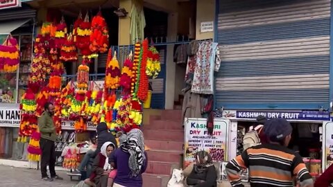 Leh #ladakh #travel #top places to visit in leh #magenatic hill #shanti stupa #leh market