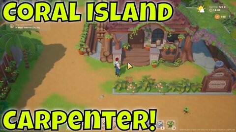 Coral Island Carpenter Location