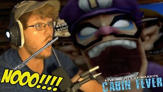 I DESTROYED THE WARIO GANG WITH THE POWER OF MUSIC || Five Nights at Wario's: Cabin Fever