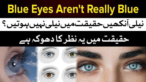 Blue Eyes Aren't Really Blue and Other Secrets
