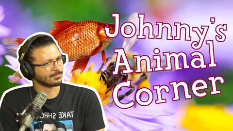 Johnny's Animal Corner (Episode 311)