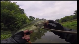 Tuesday Morning FLYFISHING Trip to the creek