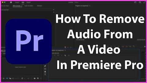 How To Remove Audio From A Video In Premiere Pro