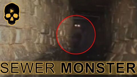 Strange sewer creature caught on tape