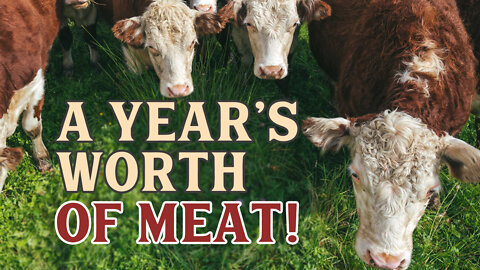 How we raise a YEAR'S worth of meat! | Pantry Chat