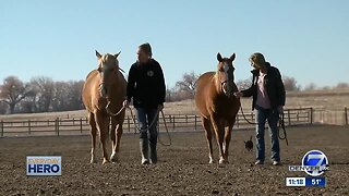 7Everyday Hero: Two world class triathletes dedicated to saving horses from slaughter